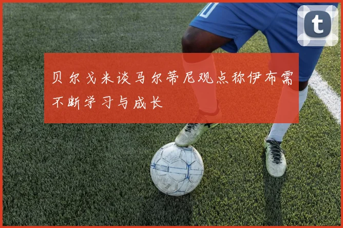 贝尔戈米谈马尔蒂尼观点称伊布需不断学习与成长